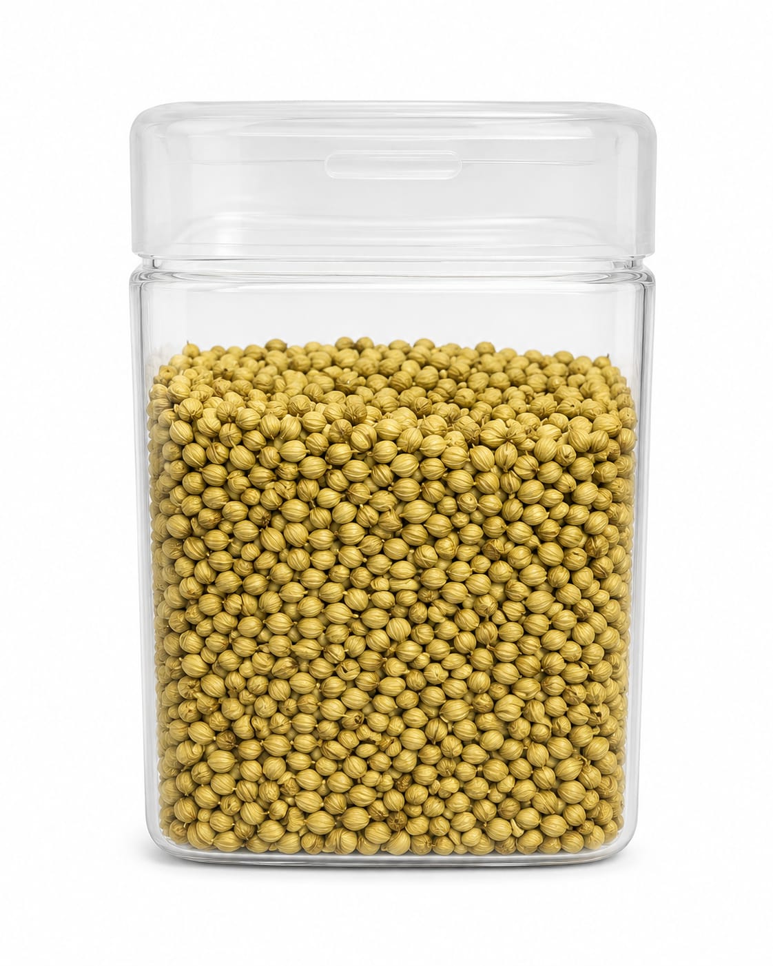 Coriander Seeds Sabut Dhaniya Natural 100gm by Silbatta Spices